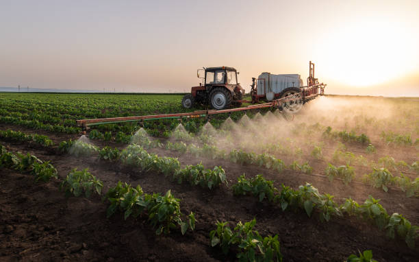 Best Mosquito Control Services  in Pinehurst, MA