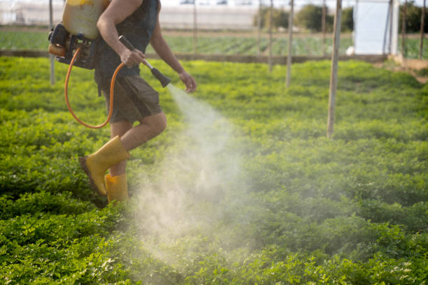 Best Commercial Pest Control Services  in Pinehurst, MA