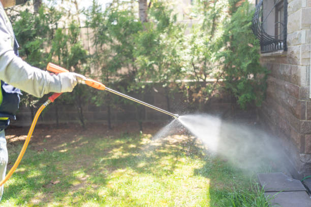Best Pest Control Near Me in Pinehurst, MA