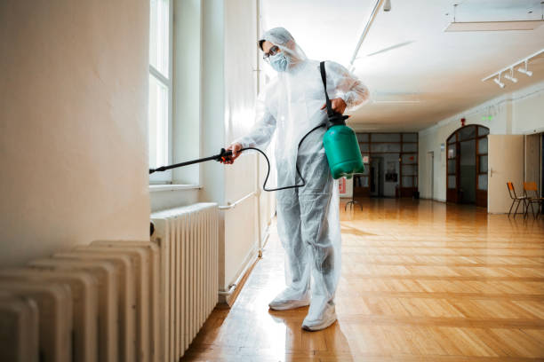 Wasp Removal Services in Pinehurst, MA