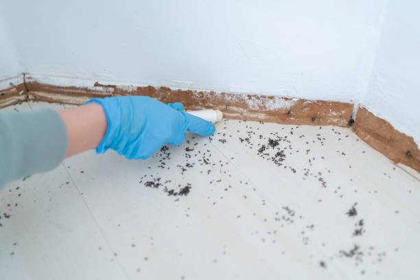Pinehurst, MA Pest Control Company
